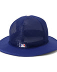 newera-bucke-cap