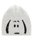 newera-basic_beanie-cap